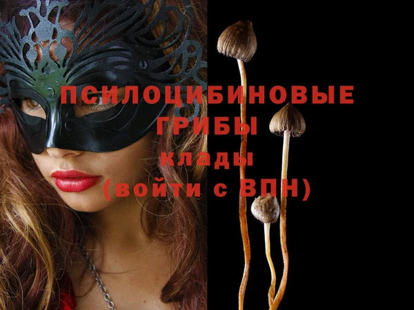 молекула духа Балабаново